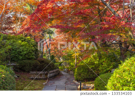 京都將軍塚青龍殿日本庭園秋季賞楓季 133534103