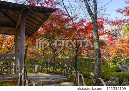 京都將軍塚青龍殿日本庭園秋季賞楓季 133534109