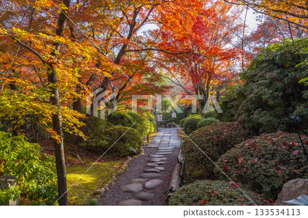 Kyoto Shogunzuka Seiryuden Japanese Garden Autumn Foliage Season 133534113