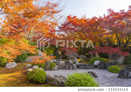 京都將軍塚青龍殿枯山水庭園秋季賞楓季 133534114
