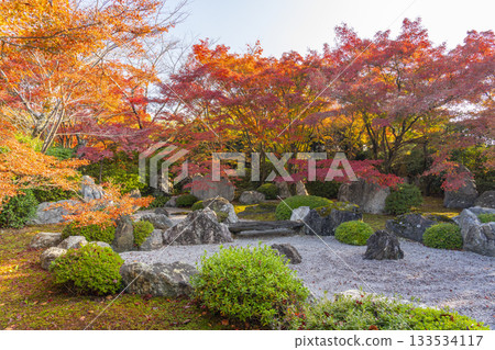 京都將軍塚青龍殿枯山水庭園秋季賞楓季 133534117