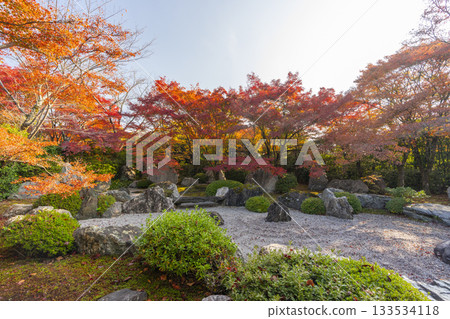 京都將軍塚青龍殿枯山水庭園秋季賞楓季 133534118