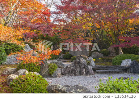 京都將軍塚青龍殿枯山水庭園秋季賞楓季 133534120