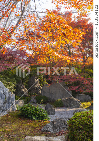 京都將軍塚青龍殿枯山水庭園秋季賞楓季 133534122