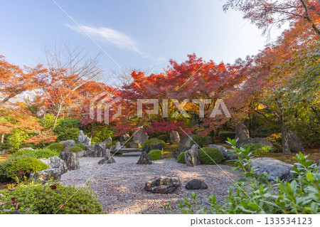 京都將軍塚青龍殿枯山水庭園秋季賞楓季 133534123
