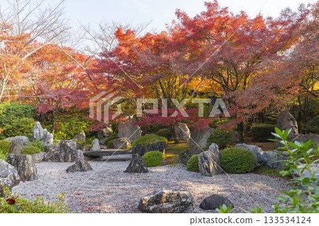 京都將軍塚青龍殿枯山水庭園秋季賞楓季 133534124