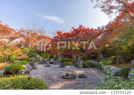 京都將軍塚青龍殿枯山水庭園秋季賞楓季 京都將軍塚青龍殿枯山水庭園秋季賞楓季 133534126