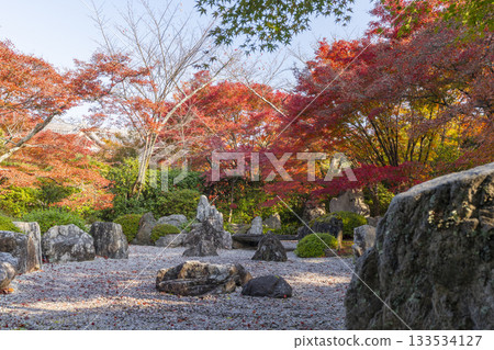 京都將軍塚青龍殿枯山水庭園秋季賞楓季 京都將軍塚青龍殿枯山水庭園秋季賞楓季 133534127