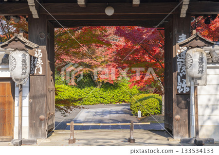 Kyoto Shoren-in Temple Fukutokumon Gate Autumn leaves season 133534133