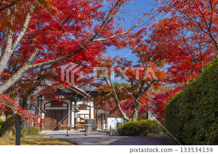 京都將軍塚青龍殿大日殿秋季賞楓季 133534139