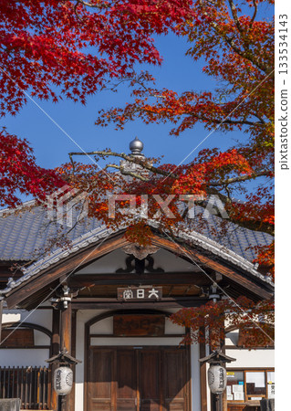 京都將軍塚青龍殿大日殿秋季賞楓季 133534143