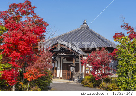 京都將軍塚青龍殿大日殿秋季賞楓季 133534148