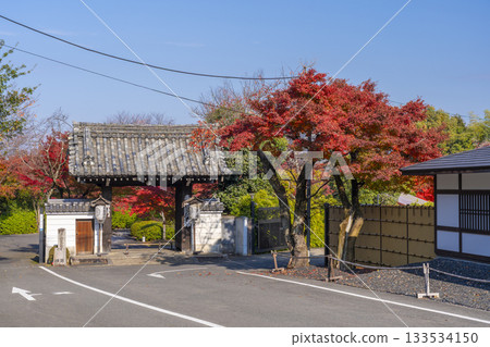 京都青蓮院副德門秋葉景 133534150