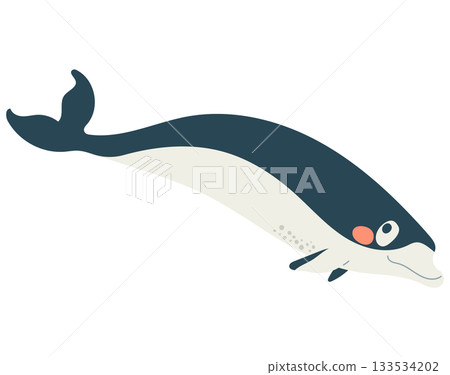 Southern Finless Dolphin Cartoon Character Vector Illustration Southern Finless Dolphin Cartoon Character Vector Illustration 133534202