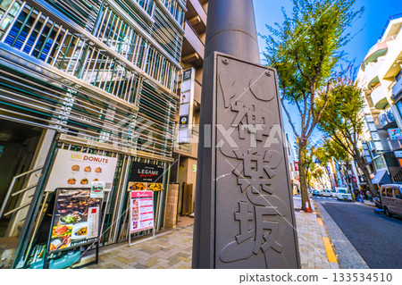 日本東京城市景觀：一座充滿氛圍的城市。午後時分的神樂坂景色。 133534510