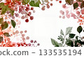 Watercolor branches and berries creating a white frame background 133535194