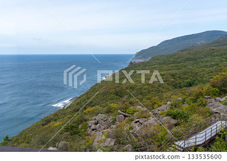 北海道，大渡戶岬，觀景台，大海，草地，懸崖 133535600