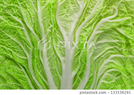 Chinese cabbage vegetable Chinese cabbage vegetable 133536291