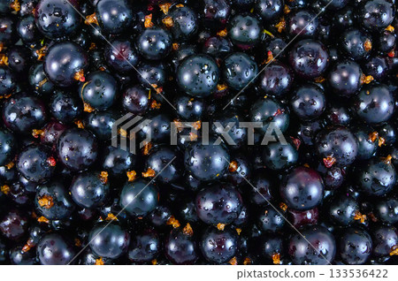 Ripe juicy currant 133536422