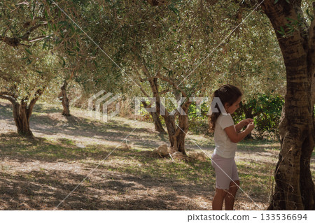 Little girl walking through a sunny mediterranean olive grove in the countryside 133536694