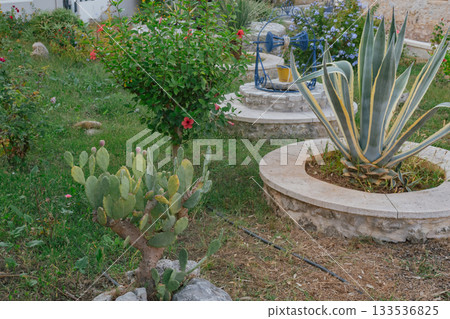 Cozy traditional courtyard of a mediterranean house with stone and greenery Cozy traditional courtyard of a mediterranean house with stone and greenery 133536825