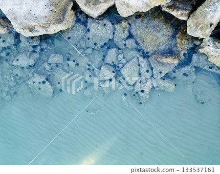 Drone view of massive sea rocks covered with sea urchins 133537161