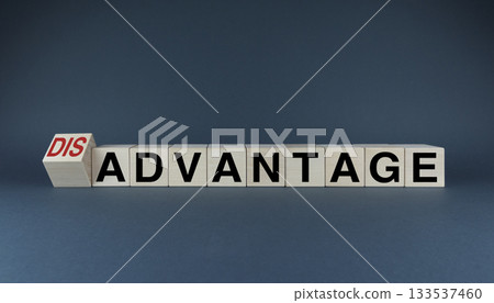 Cubes form the words Advantages or Disadvantages. Business concept 133537460