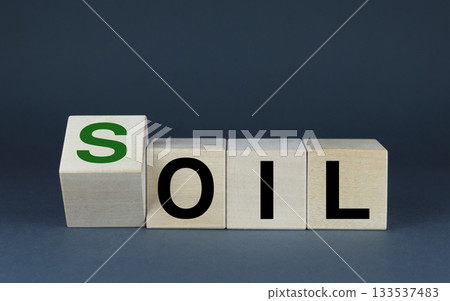 Cubes form the words Oil or soil. Ecology concept, Crude oil resources, gas, oil, fuel market industry 133537483