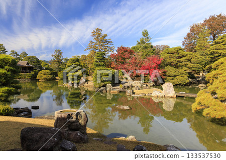 映照著秋葉的日本庭園(京都桂浦裡久) 映照著秋葉的日本庭園(京都桂浦裡久) 133537530