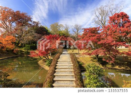 Japanese garden that shines in autumn leaves (Kyoto Katsura Imperial Villa) 133537555