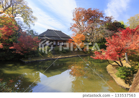 Japanese garden that shines in autumn leaves (Kyoto Katsura Imperial Villa) 133537563