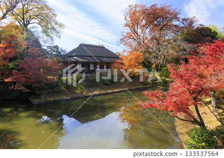 Japanese garden that shines in autumn leaves (Kyoto Katsura Imperial Villa) 133537564