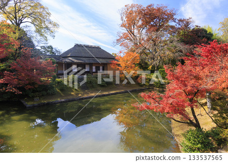 映照著秋葉的日本庭園（京都桂浦裡久） 133537565