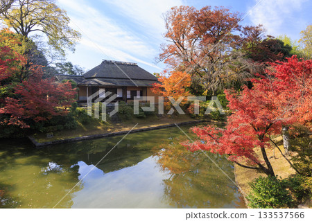 映照著秋葉的日本庭園（京都桂浦裡久） 133537566