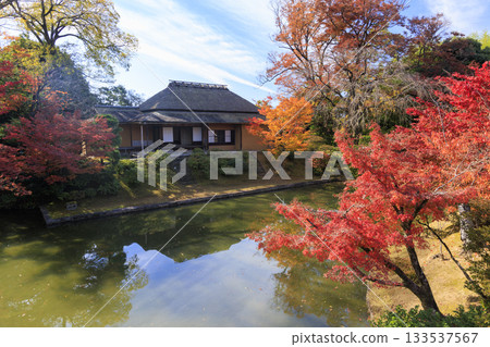 Japanese garden that shines in autumn leaves (Kyoto Katsura Imperial Villa) 133537567