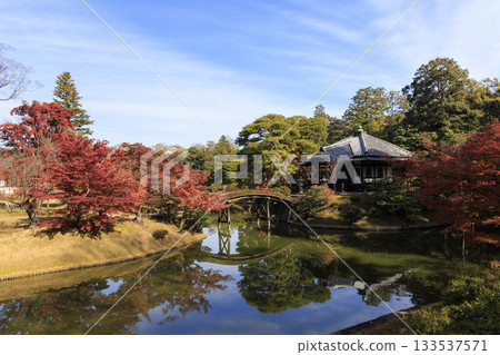 映照著秋葉的日本庭園（京都桂浦裡久） 133537571