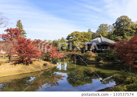 映照著秋葉的日本庭園(京都桂浦裡久) 映照著秋葉的日本庭園(京都桂浦裡久) 133537574