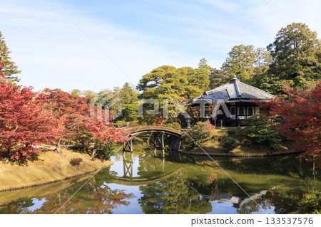 Japanese garden that shines in autumn leaves (Kyoto Katsura Imperial Villa) 133537576
