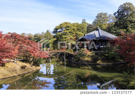 Japanese garden that shines in autumn leaves (Kyoto Katsura Imperial Villa) 133537577
