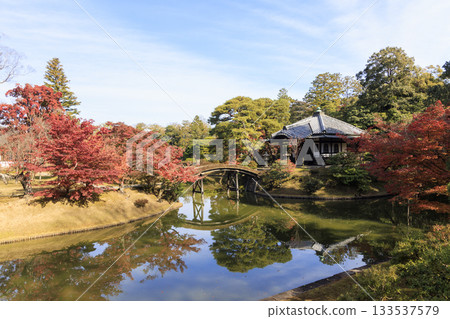 Japanese garden that shines in autumn leaves (Kyoto Katsura Imperial Villa) 133537579