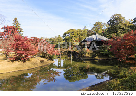 Japanese garden that shines in autumn leaves (Kyoto Katsura Imperial Villa) 133537580