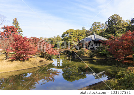 Japanese garden that shines in autumn leaves (Kyoto Katsura Imperial Villa) 133537581
