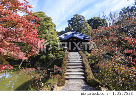 Japanese garden that shines in autumn leaves (Kyoto Katsura Imperial Villa) Japanese garden that shines in autumn leaves (Kyoto Katsura Imperial Villa) 133537588
