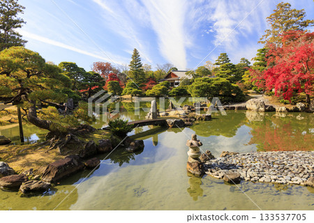 Japanese garden that shines in autumn leaves (Kyoto Katsura Imperial Villa) 133537705
