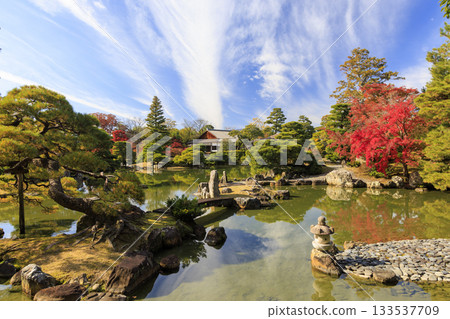 Japanese garden that shines in autumn leaves (Kyoto Katsura Imperial Villa) 133537709