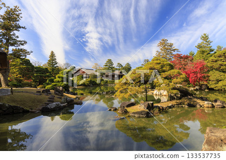 映照著秋葉的日本庭園(京都桂浦裡久) 映照著秋葉的日本庭園(京都桂浦裡久) 133537735