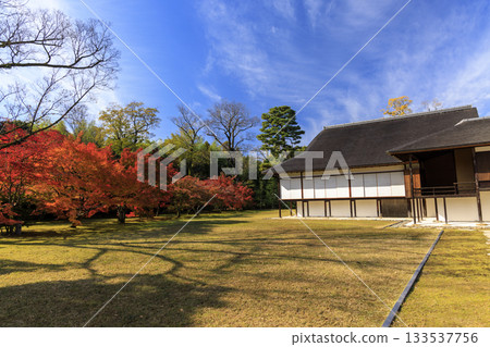 Japanese garden that shines in autumn leaves (Kyoto Katsura Imperial Villa) 133537756