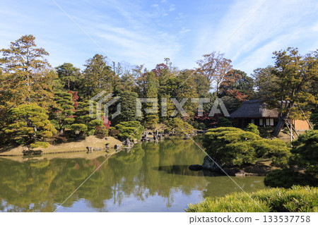 映照著秋葉的日本庭園(京都桂浦裡久) 映照著秋葉的日本庭園(京都桂浦裡久) 133537758