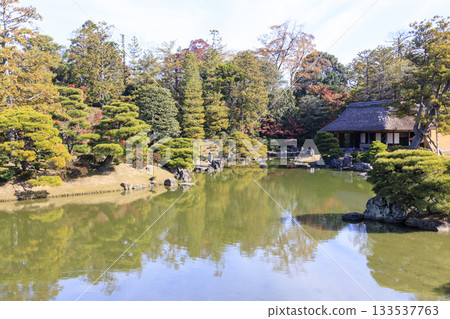 Japanese garden that shines in autumn leaves (Kyoto Katsura Imperial Villa) 133537763