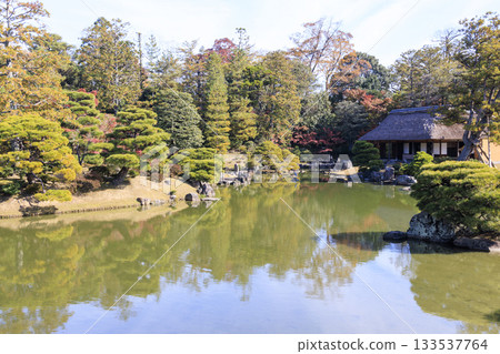 Japanese garden that shines in autumn leaves (Kyoto Katsura Imperial Villa) 133537764